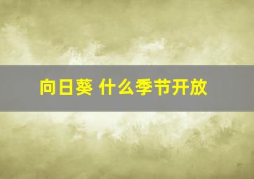 向日葵 什么季节开放